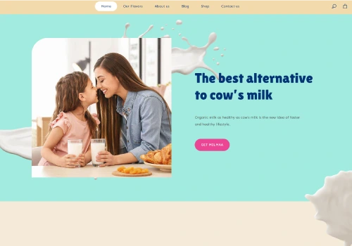 single page development